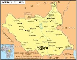 Soudan du Sud: un an après son indépendance - ảnh 2